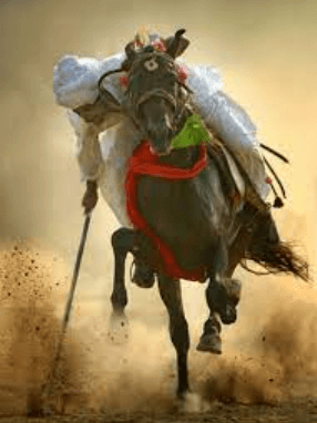 What Is The History Of Tent Pegging?