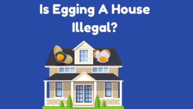 Is Egging Someones House Illegal