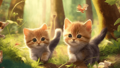 Anime:Tvsddfmwsvg= Cute:6j_67cx_Pgi= Cats