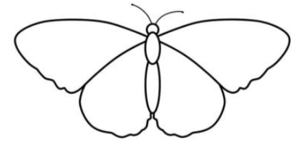 Outline:1hmdqx-87ve= Butterfly Sketch