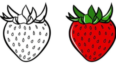 Outline:6q_47osafgo= Strawberry