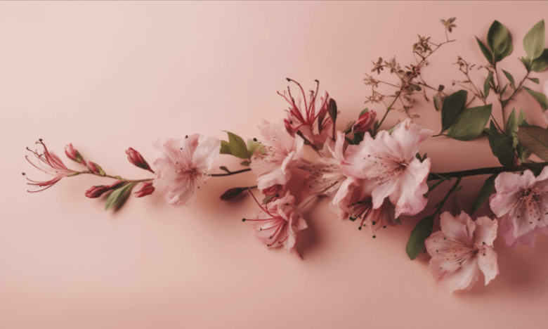 Beautiful:5qqkgpaucem= Pink Flowers