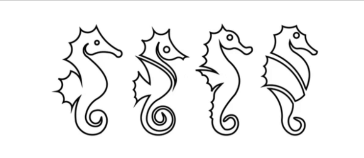 Outline:7q0u1nzrpso= Sea Horse Drawing