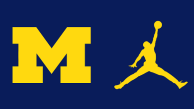 Logo:34nudidlysi= Michigan