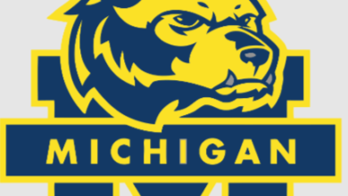 Logo:34nudidlysi= Michigan Wolverines