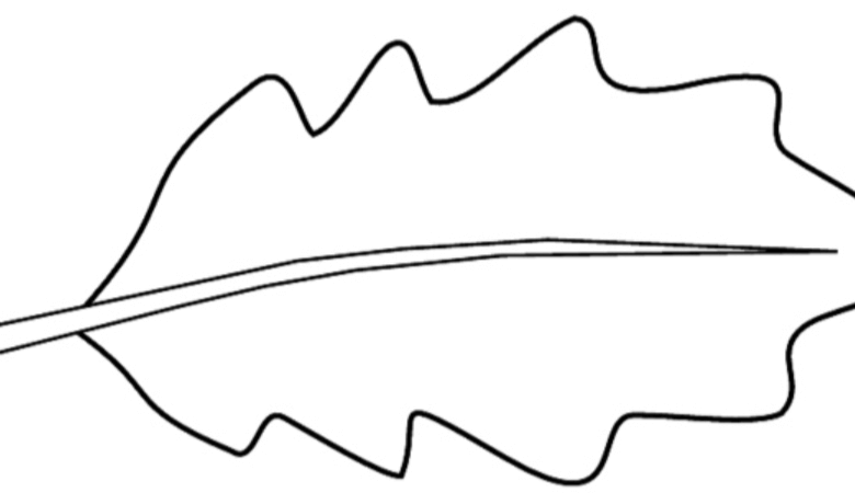 Outline:1katqdk7ygw= Leaf Clipart