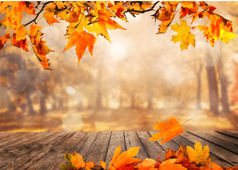 Clip Art:5oesxuispmg= Fall Leaves Images