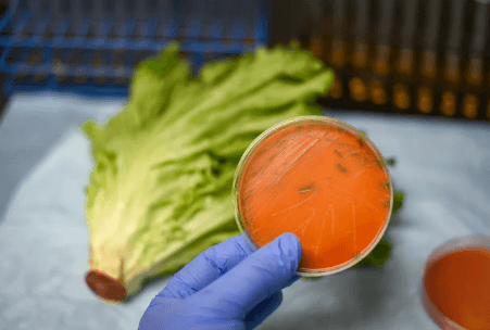 Food:63dpvmjbpyw= Listeria