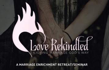 Falling in Love With My CEO Ex Husband: a Love Rekindled