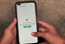 geek force network login