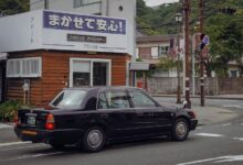 license plate examination insights