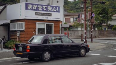 license plate examination insights