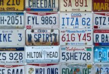 state number plate overview