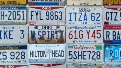 state number plate overview