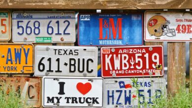 vehicle registration number details