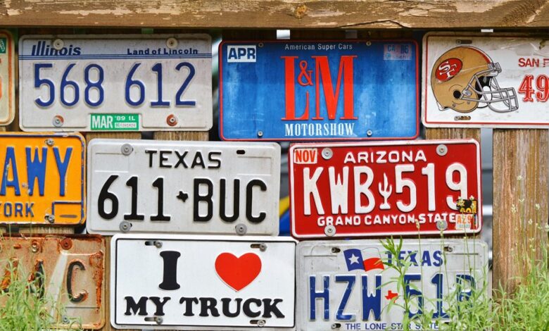 vehicle registration number details