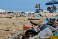Simple Ways to Cut Down on Plastic Waste in Your Daily Routine