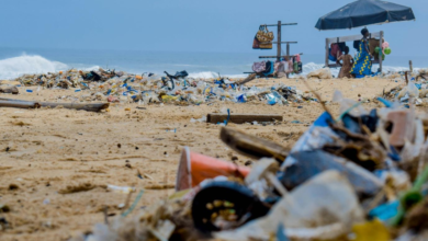 Simple Ways to Cut Down on Plastic Waste in Your Daily Routine