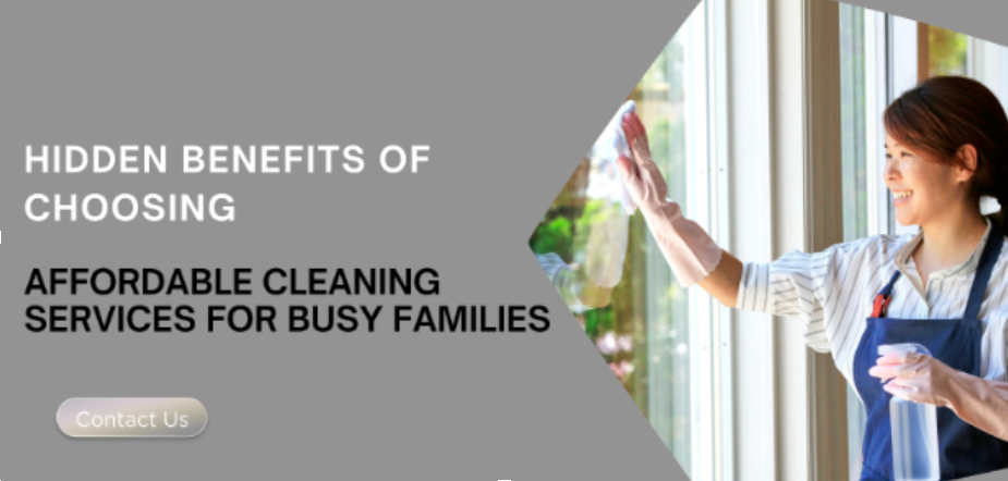Hidden Benefits of Choosing Affordable Cleaning Services for Busy Families - zisscourse , zisscourse turf