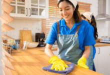 Domestic Helper Services and Their Role in Modern Employment