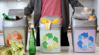 Waste Disposal Made Easy: Simple Steps for Households and Businesses