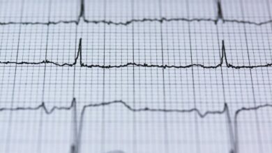 fusion summit digital pulse 3509314076