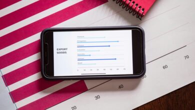 international call report background check