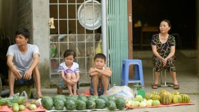 momentum node 868970724 market loop