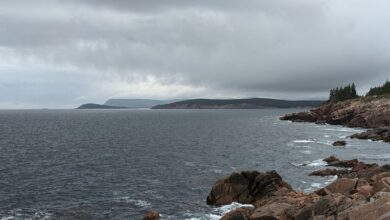 nova surge model dynamic vector 913305144