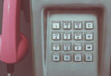 phone number with insights highlighted