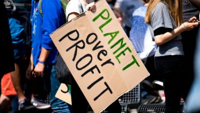 profit framework 23 287 400 success expansion