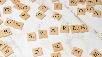 spelomse account activity summary