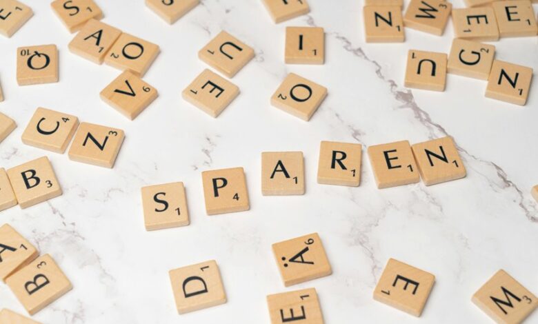 spelomse account activity summary