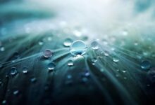 stellar flow revenue beam