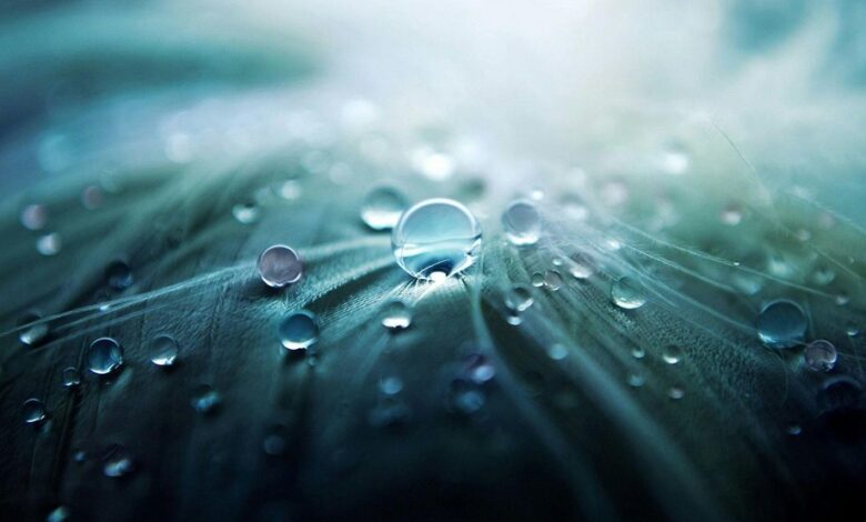 stellar flow revenue beam