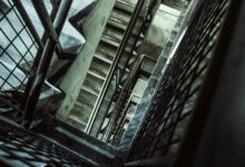 vertex surge 915451100 growth flow