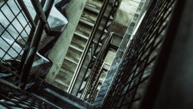 vertex surge 915451100 growth flow