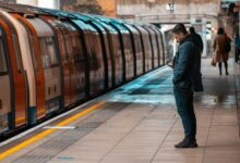 build online authority platform 800 887 0224