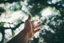 expand your digital reach growth platform