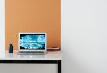 increase online success 8569396062 digital experts