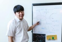 online platform optimization experts