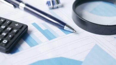 final data audit mashkheish project details