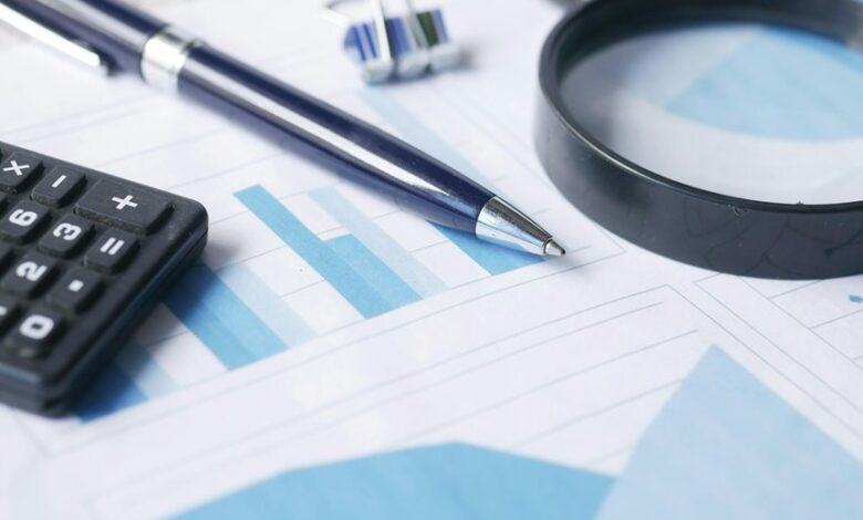 final data audit mashkheish project details