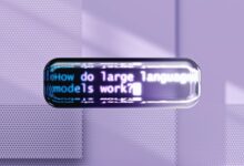 language and encoding scan identifiers