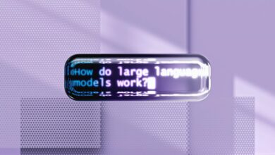 language and encoding scan identifiers