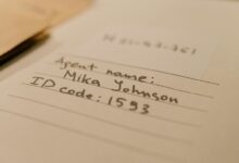 mixed data audit names and identifiers