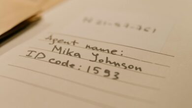 mixed data audit names and identifiers