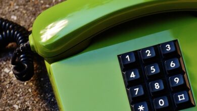 phone numbers and a vin occurences