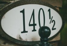 phone numbers and domain analysis details