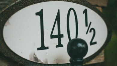 phone numbers and domain analysis details